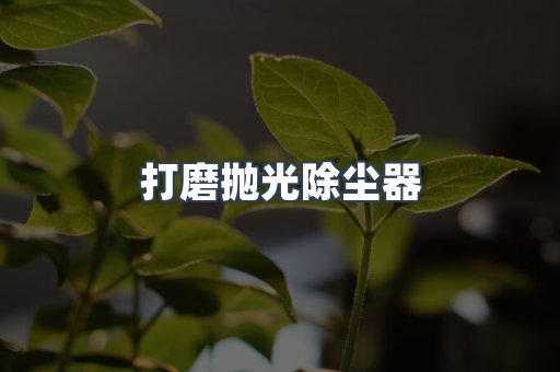 打磨抛光除尘器